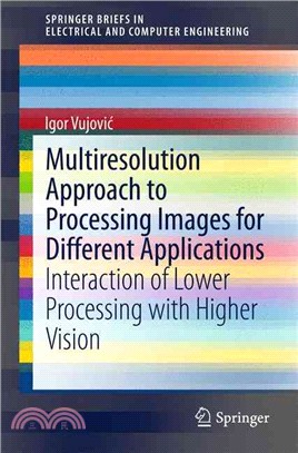 Multiresolution Approach to Processing Images for Different Applications ― Interaction of Lower Processing With Higher Vision