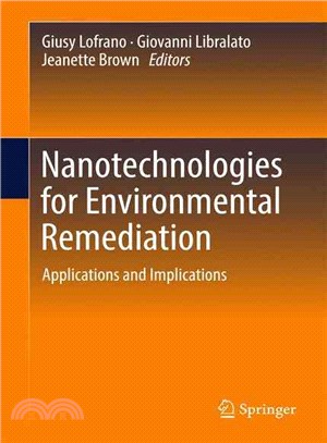 Nanotechnologies for Environmental Remediation ― Applications and Implications