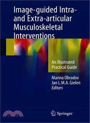 Image-guided Intra- and Extra-articular Musculoskeletal Interventions ― An Illustrated Practical Guide