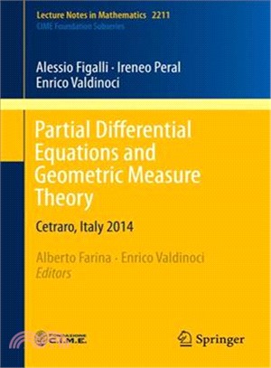 Partial Differential Equations and Geometric Measure Theory ― Cetraro, Italy 2014