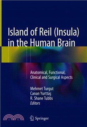 Island of Reil (Insula) in the Human Brain：Anatomical, Functional, Clinical and Surgical Aspects