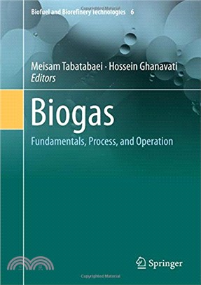 Biogas: Fundamentals, Process, and Operation (Biofuel and Biorefinery Technologies)