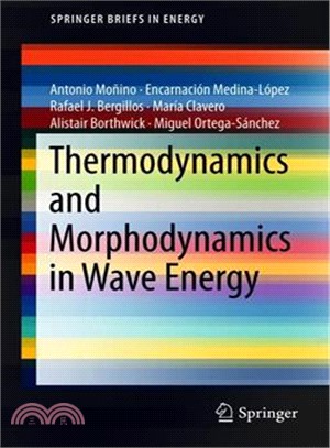 Thermodynamics and Morphodynamics in Wave Energy