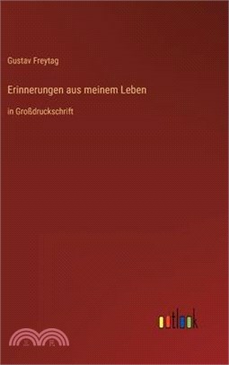 Erinnerungen aus meinem Leben: in Großdruckschrift