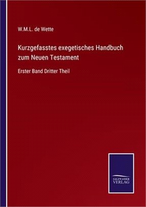 Kurzgefasstes exegetisches Handbuch zum Neuen Testament: Erster Band Dritter Theil