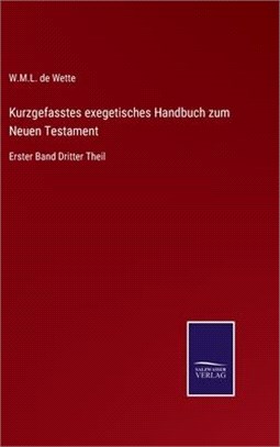 Kurzgefasstes exegetisches Handbuch zum Neuen Testament: Erster Band Dritter Theil