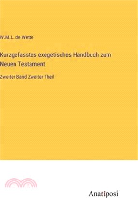 Kurzgefasstes exegetisches Handbuch zum Neuen Testament: Zweiter Band Zweiter Theil