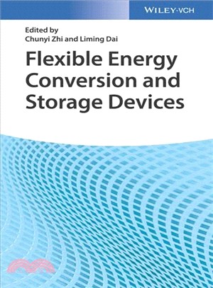 Flexible Energy Conversion And Storage Devices