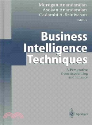 Business Intelligence Techniques ― A Perspective from Accounting and Finance