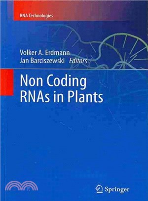 Non Coding Rnas in Plants