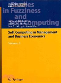 Soft Computing in Management and Business Economics