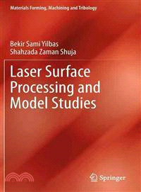 Laser Surface Processing and Model Studies