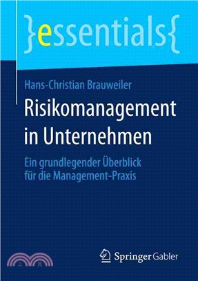 Risikomanagement in Unternehmen：Ein Grundlegender berblick F r Die Management-Praxis