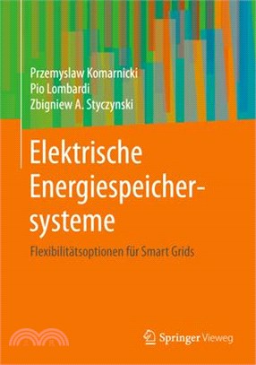 Elektrische Energiespeichersysteme: Flexibilitätsoptionen Für Smart Grids