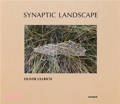 Synaptic Landscape: Oliver Ullrich