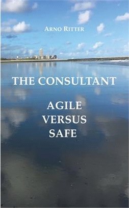 The Consultant: Agile versus Safe