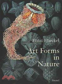 Art Forms in Nature: Prints of Ernst Haekel