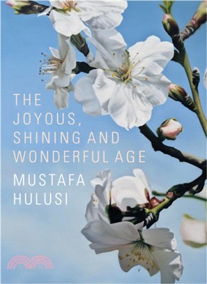 Mustafa Hulusi：The Joyous, Shining And Wonderful Age