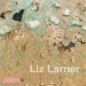 Liz Larner