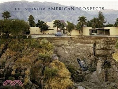 Joel Sternfeld: American Prospects