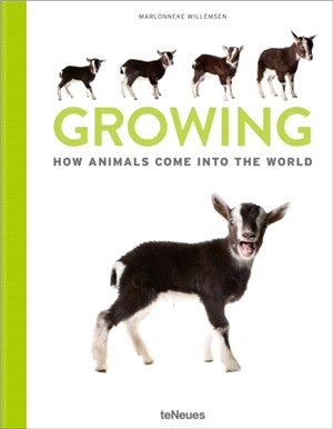 Growing: How animals come into our world