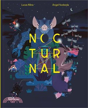 Nocturnal: Animals After Dark