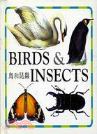 鳥和昆蟲－幼幼小書