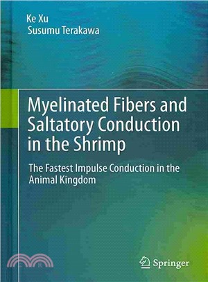 Myelinated Fibers and Saltatory Conduction in the Shrimp