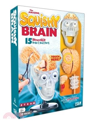 The Amazing Squishy Brain (大腦模型)