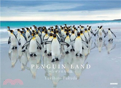 Penguin Land