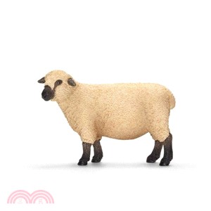 《Schleich》史萊奇模型－綿羊(新)