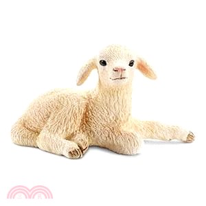 《Schleich》史萊奇模型－綿羊(躺姿)