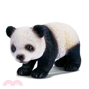 《Schleich》史萊奇模型－幼貓熊