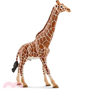 《Schleich》史萊奇模型－長頸鹿爸爸