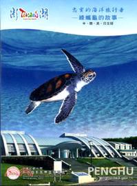 忠實的海洋旅行者─綠蠵龜的故事DVD