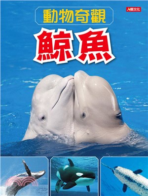 動物奇觀：鯨魚