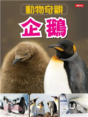 動物奇觀：企鵝