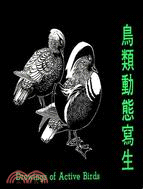 鳥類動態寫生