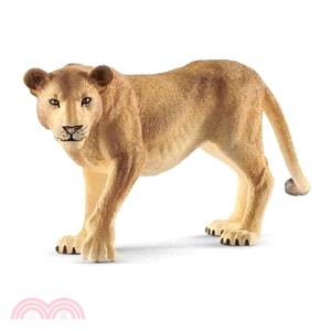 《Schleich》史萊奇模型－母獅子 | 拾書所