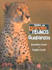 Diario de grandes felinos / Guide of big felidaes