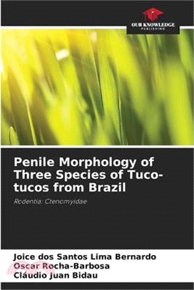 Penile Morphology of Three Species of Tuco-tucos from Brazil