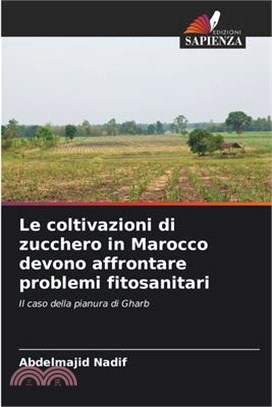 Le coltivazioni di zucchero in Marocco devono affrontare problemi fitosanitari