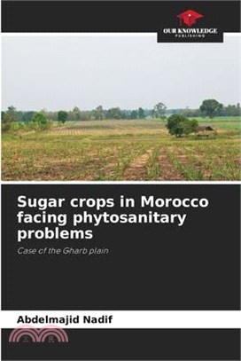 Sugar crops in Morocco facing phytosanitary problems