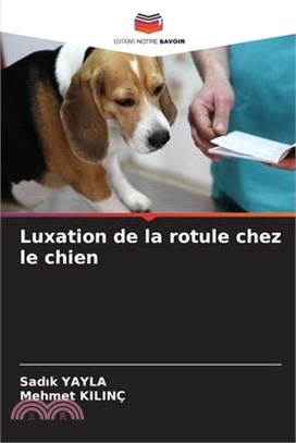 Luxation de la rotule chez le chien