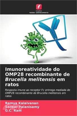 Imunoreatividade do OMP28 recombinante de Brucella melitensis em ratos