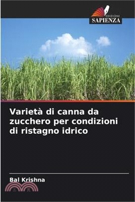 Varietà di canna da zucchero per condizioni di ristagno idrico