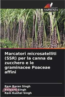 Marcatori microsatelliti (SSR) per la canna da zucchero e le graminacee Poaceae affini