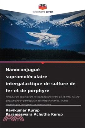 Nanoconjugué supramoléculaire intergalactique de sulfure de fer et de porphyre