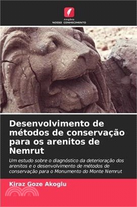 Desenvolvimento de métodos de conservação para os arenitos de Nemrut