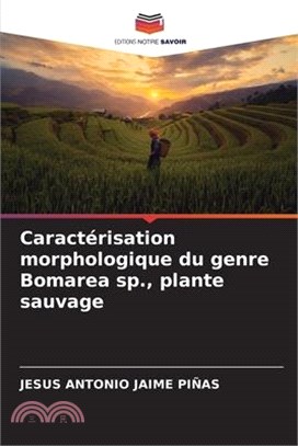 Caractérisation morphologique du genre Bomarea sp., plante sauvage